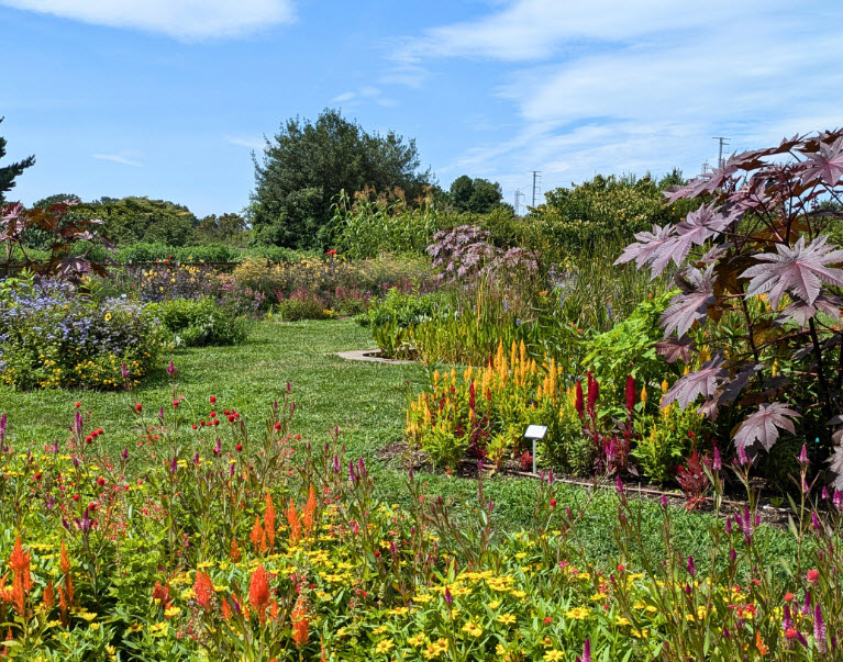 Rutgers Gardens, United States